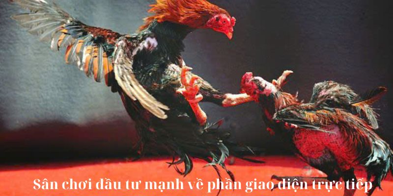 Sân chơi đầu tư mạnh về phần giao diện trực tiếp